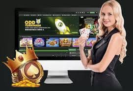44bet